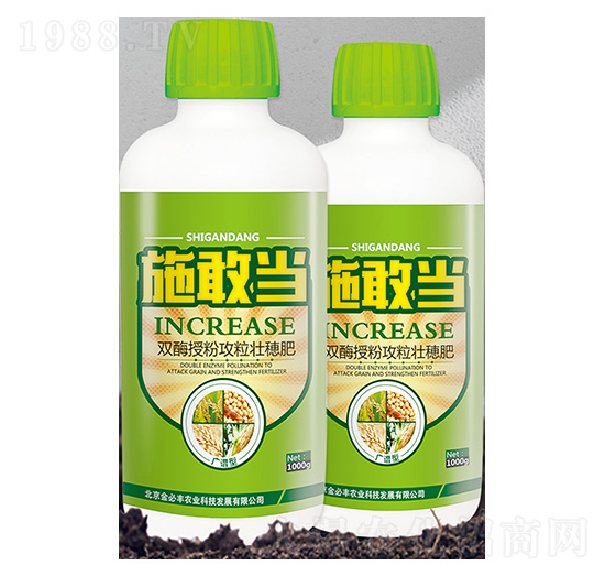 �pø�ڷ۹��������-ʩ�Ү�-����S