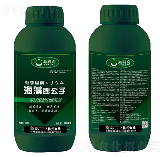 ��������-������