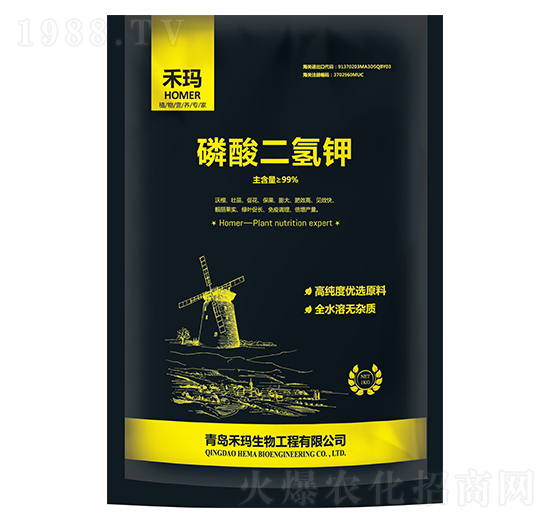 ��������-�̬�����