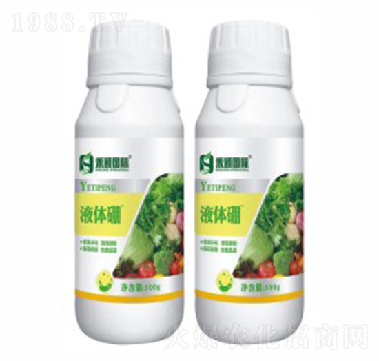 ���w��B(y��ng)-�̷f����