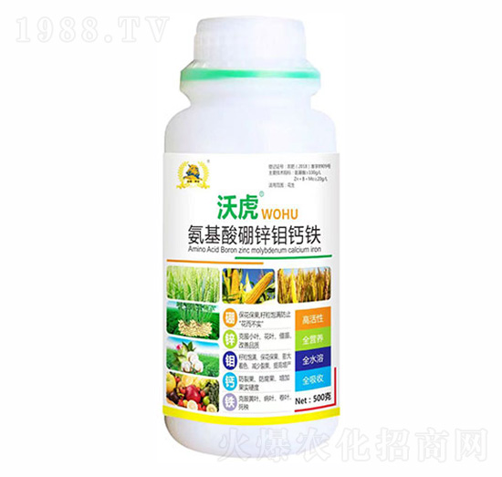 �������\���f�}�Fˮ�ܷ�-�������r