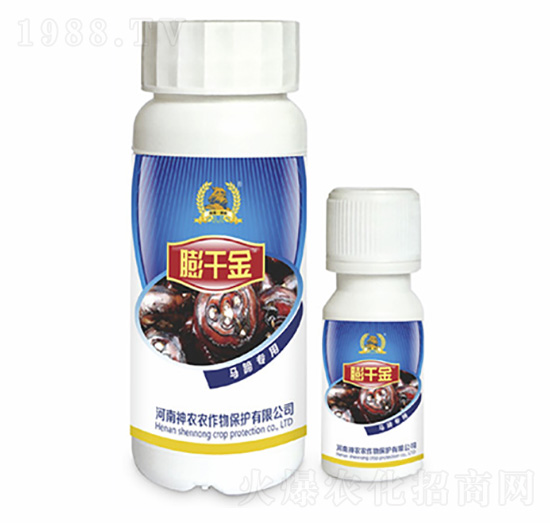 馬蹄專(zhuān)用葉面肥-膨千金-河南神農(nóng)