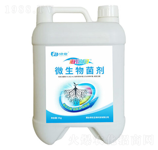 ΢�������-����ؐ-�G������