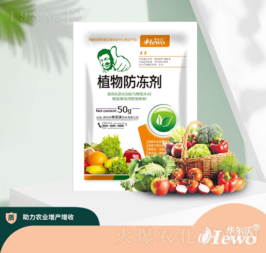 ֲ�������-�A����