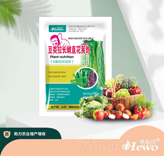 豆類拉長嫩直花莢飽-華爾沃