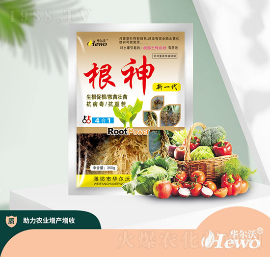 ������һ����-�A����