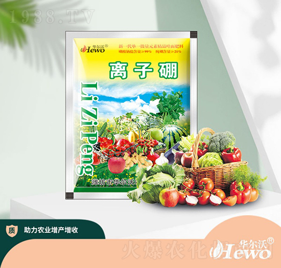 �x����-�A����