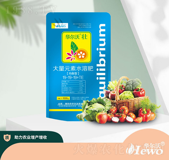 �����ʹ���Ԫ��ˮ�ܷ���19-19-19+TE-�A����