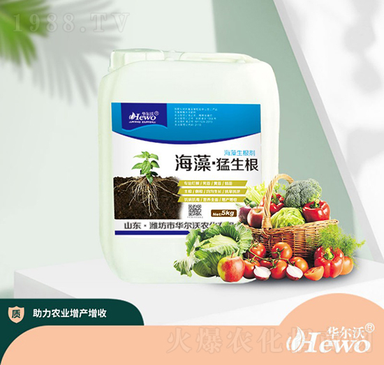 ���塤������-�A����