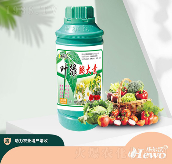 葉綠膨大素-華爾沃