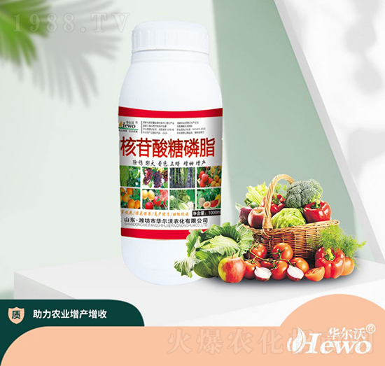 核苷酸糖磷脂-華爾沃