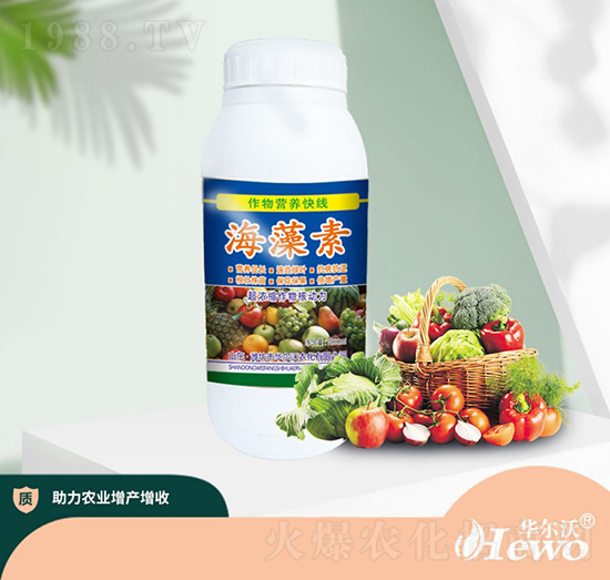 ������-�A����