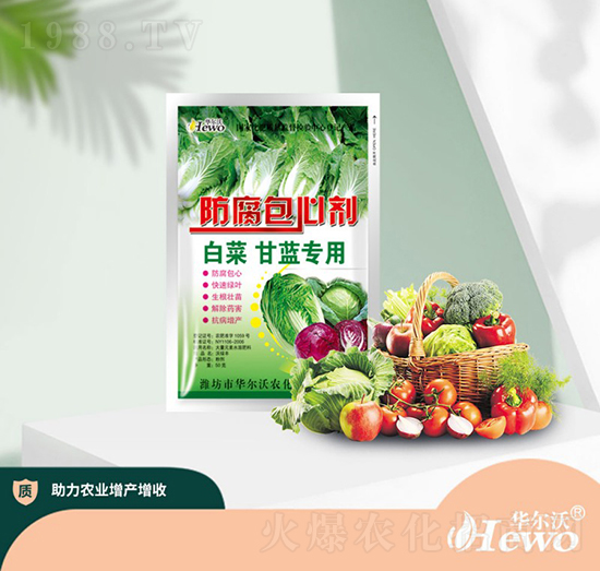 �ײ˸��{�������Ą�-�A����