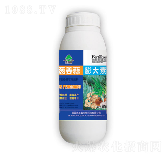 �[���������-�|���S