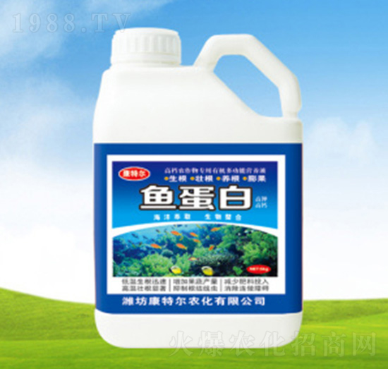 �~���כ_ʩ��-���ؠ��r��