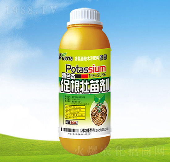 ���ϑB(t��i)�ٸ����焩-���ؠ��r(n��ng)��