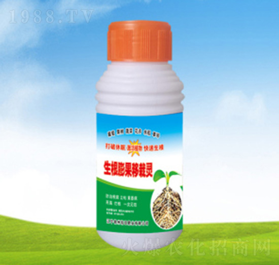 ������������`-���ؠ��r(n��ng)��