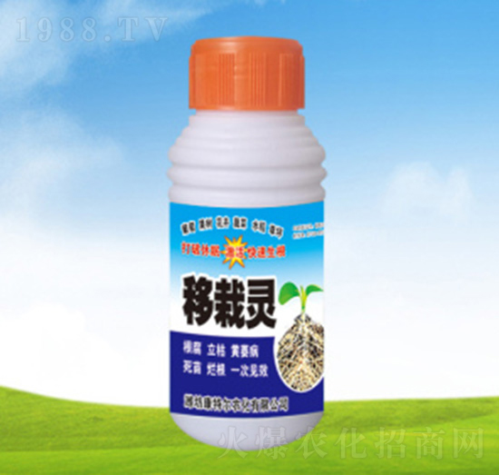 �����`-���ؠ��r(n��ng)��