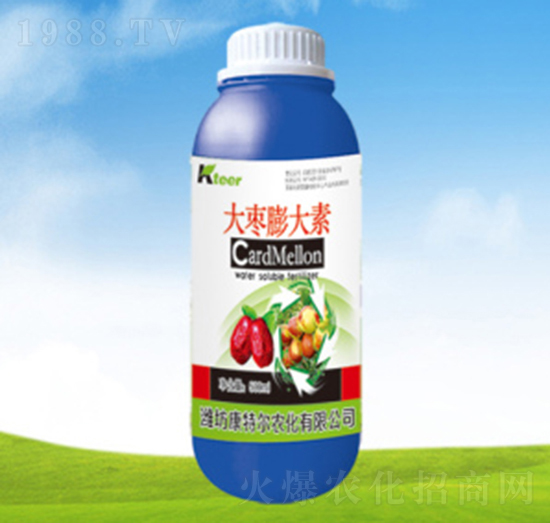 �������-���ؠ��r��