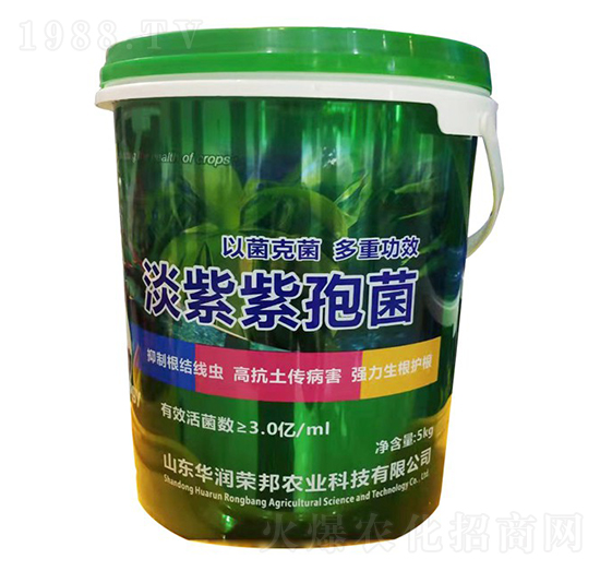 �������߾�-����փ�(y��u)-�A���s��