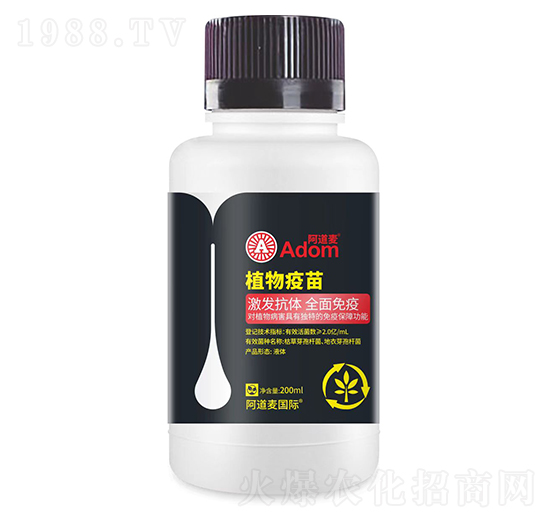 ֲ������-������