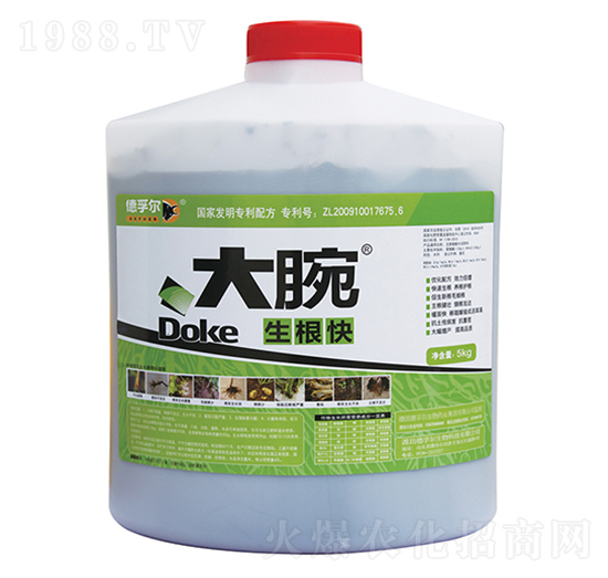 5kg������-����-���ڠ�