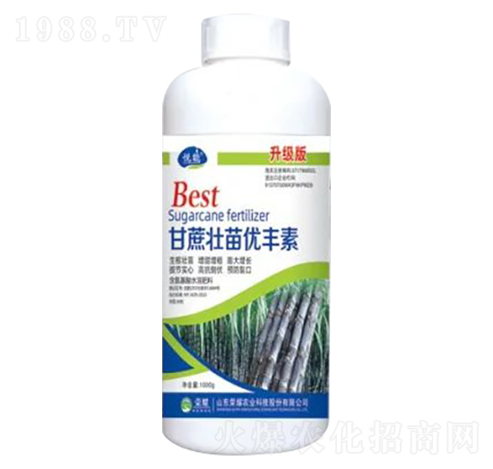 1000g������烞(y��u)�S��������-�sҫ�r�I(y��)