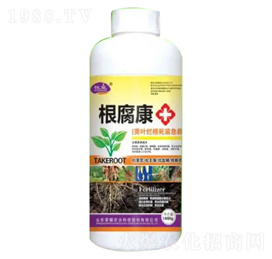 1000g�S�~�������缱��-������-�sҫ�r(n��ng)�I(y��)