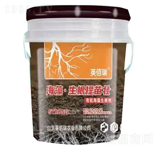海藻·生根提苗壯-榮耀農(nóng)業(yè)