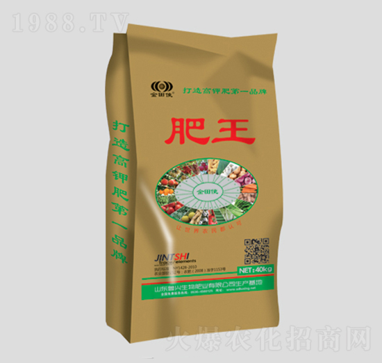 ������͏�(f��)�Ϸ�16-6-28-����-���d����