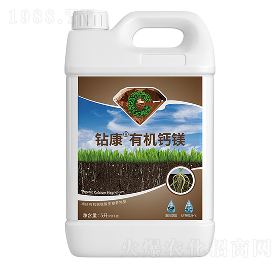 �@���ЙC�}�V-��ţ�r�I(y��)