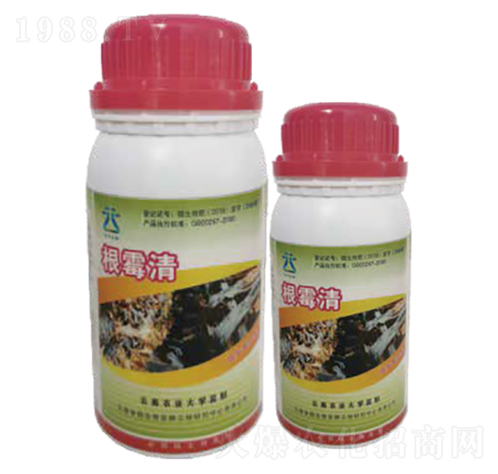 ��ù��-���~����