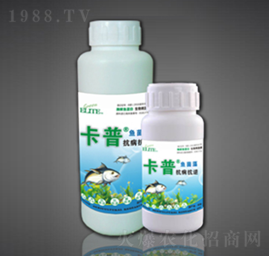 酶解魚(yú)蛋白葉面型-抗病抗逆-綠金高新