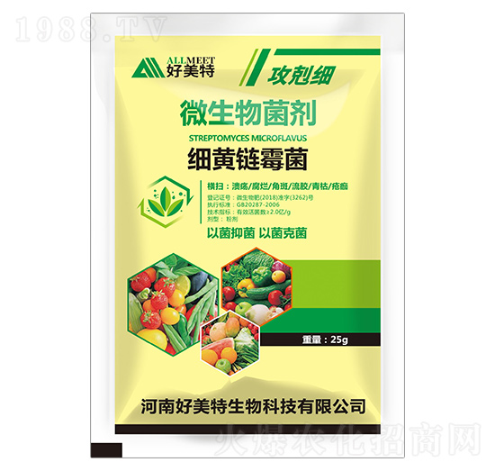 ���S�ù��-���w��-������