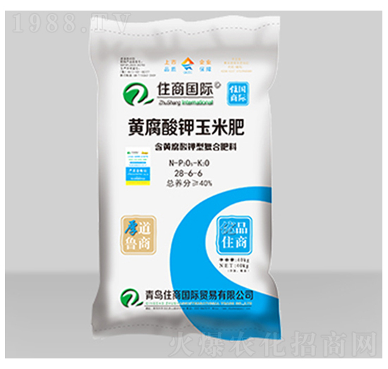 ���S����������׌��ÏͺϷ���28-6-6-ס�̇��H