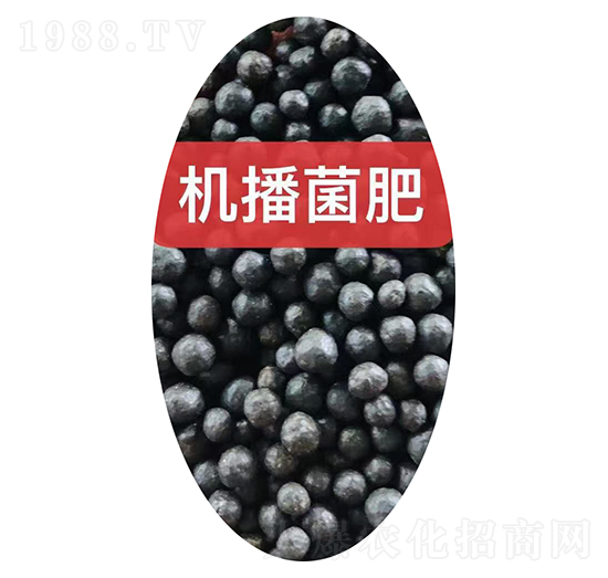 �C�������w��-���r(n��ng)