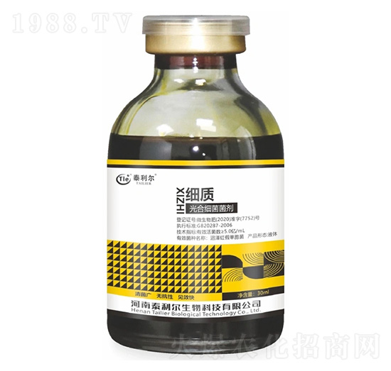 ��ϼ�������-���|-̩����