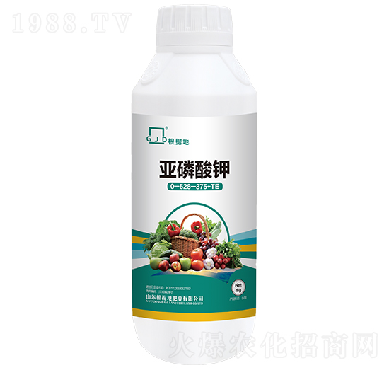 �������-����(j��)�طʘI(y��)