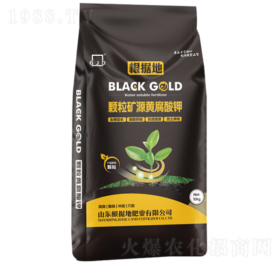 �w���VԴ�S�����-�����طʘI(y��)