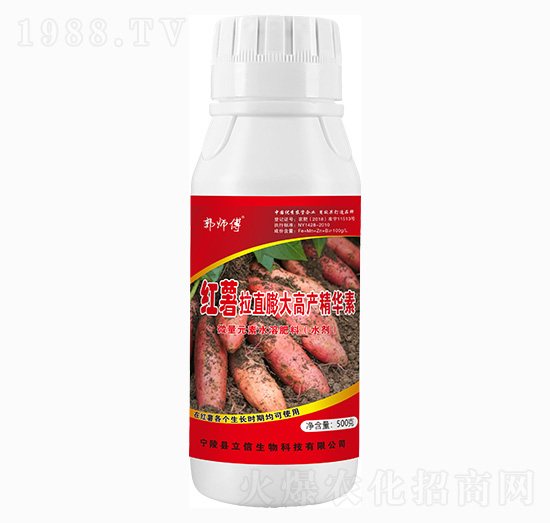 �t�����߮a(ch��n)���A��-������-��������