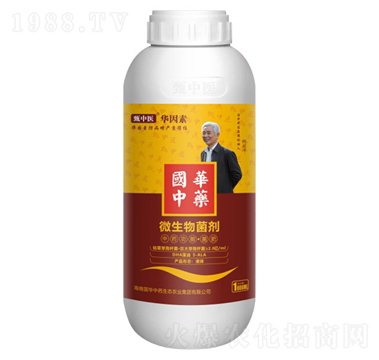 ΢�������-�����t(y��)���A����-���A��ˎ