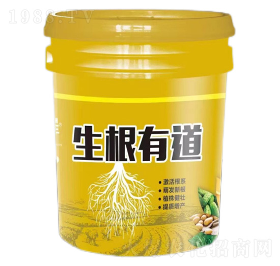 �����е�-�����S-�����_(d��)����