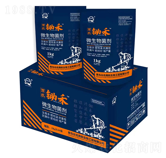 �z��΢�������-�����꺽