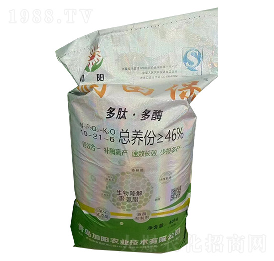 ���ġ���ø�������19-21-6-��(r��n)�ﱣ-����r(n��ng)�I(y��)