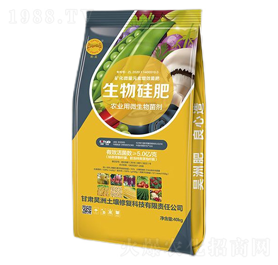 ������-��������ޏ�(f��)