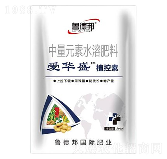 ����Ԫ��ˮ�ܷ���-��(��i)�Aʢֲ����-��?sh��)°? style=