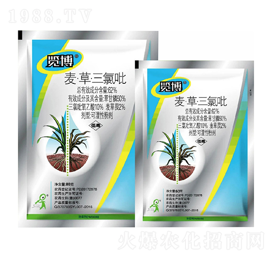 62%�����ݡ�������WP-�[��-һ�[�Ƽ�