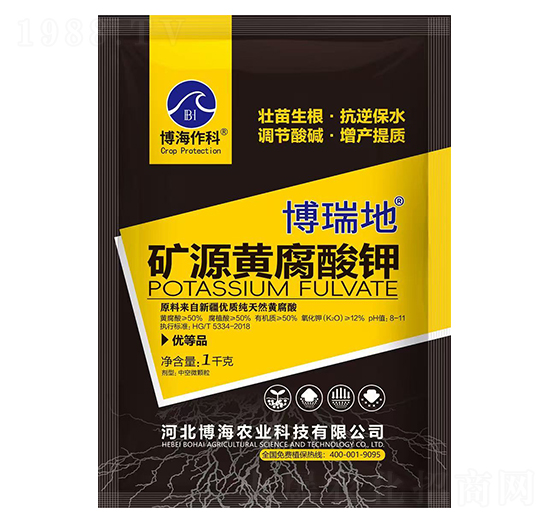 ����صVԴ�S�����-��������