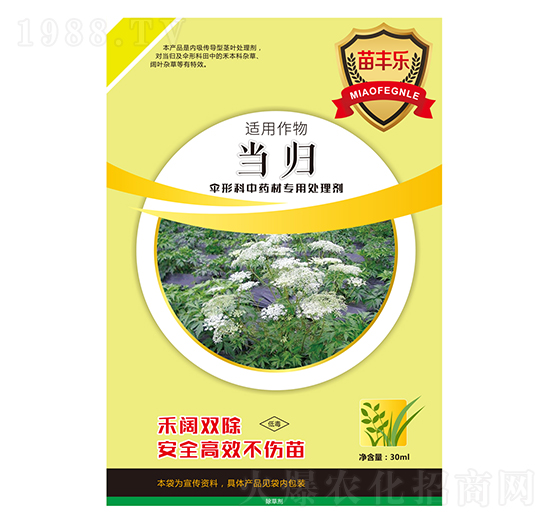 ���w���ο���ˎ�Č���̎�턩-���S��-�瘷���r(n��ng)�I(y��)