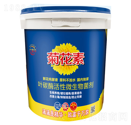 葉碳酶活性微生物菌劑-菊花素-億建華-建華農(nóng)業(yè)